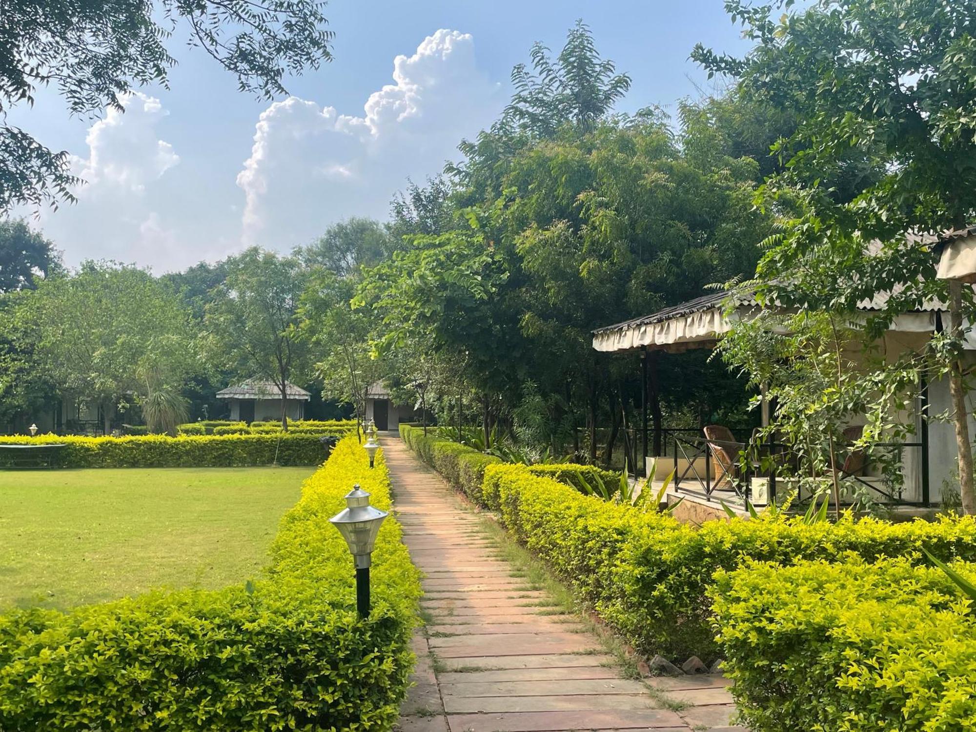 Sariska Tiger Heaven Hotel Akbarpur  Exterior foto