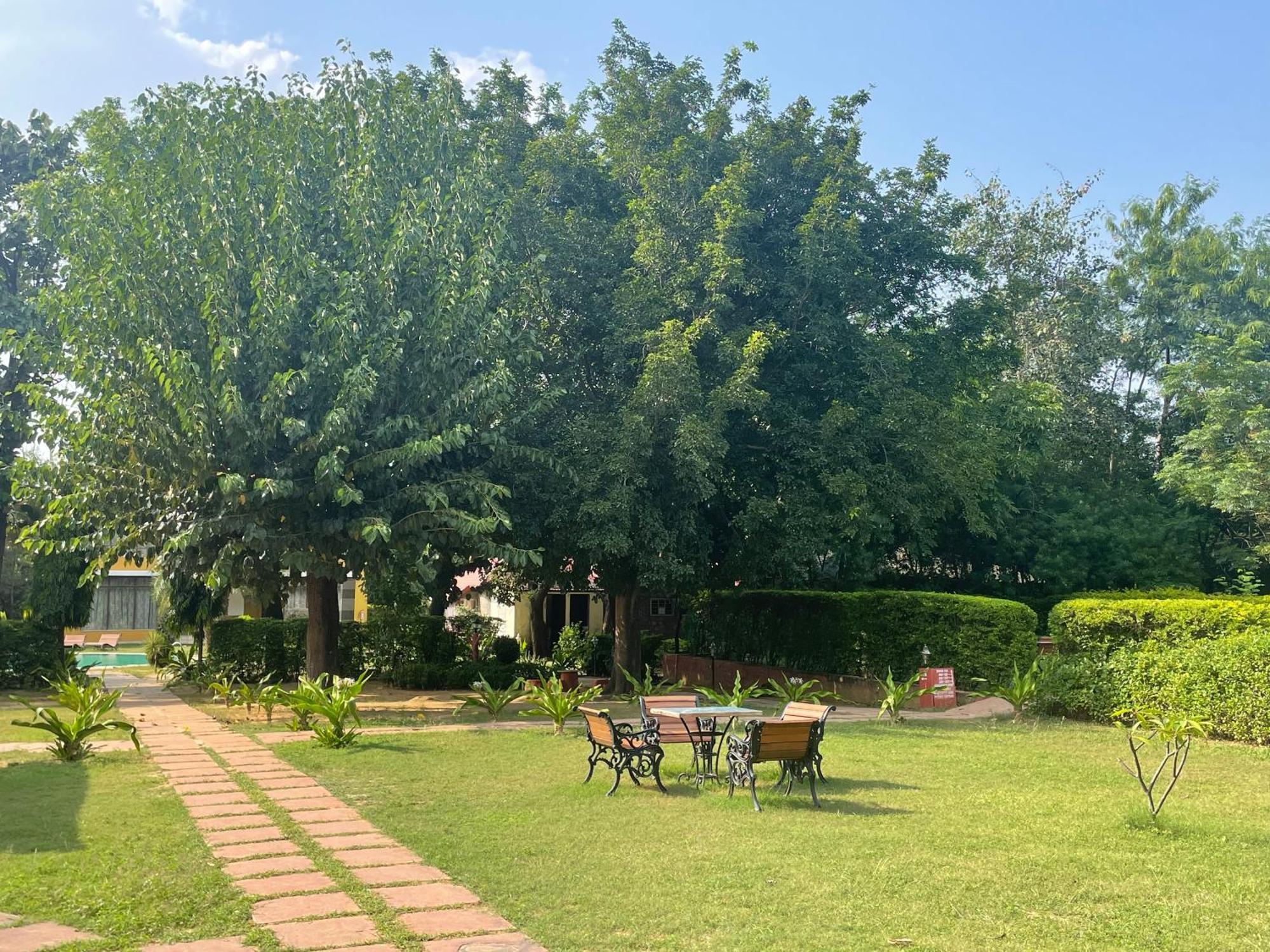 Sariska Tiger Heaven Hotel Akbarpur  Exterior foto